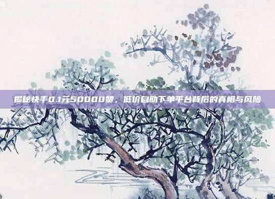 揭秘快手0.1元50000赞，低价自助下单平台背后的真相与风险