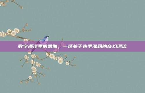 数字海洋里的赞助，一场关于快手涨粉的奇幻漂流