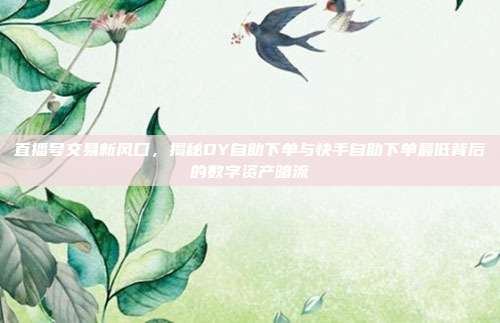 直播号交易新风口，揭秘DY自助下单与快手自助下单最低背后的数字资产暗流