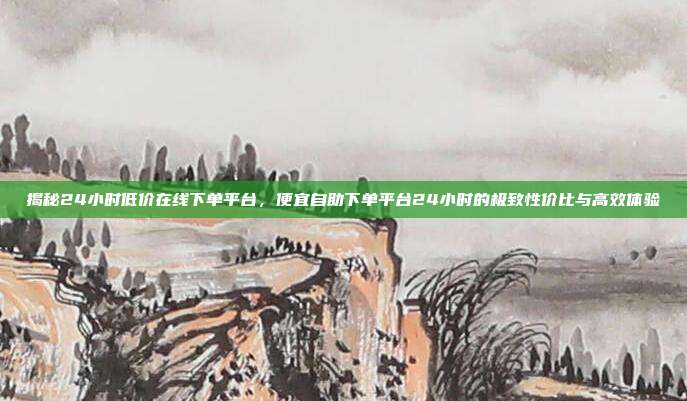 揭秘24小时低价在线下单平台，便宜自助下单平台24小时的极致性价比与高效体验