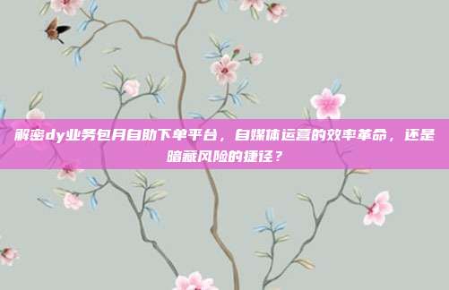 解密dy业务包月自助下单平台，自媒体运营的效率革命，还是暗藏风险的捷径？
