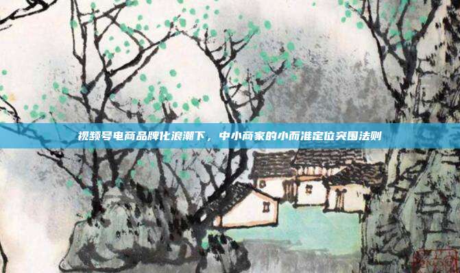 视频号电商品牌化浪潮下，中小商家的小而准定位突围法则