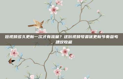 短视频多久更新一次才有流量?这份视频号最优更新节奏参考,建议收藏