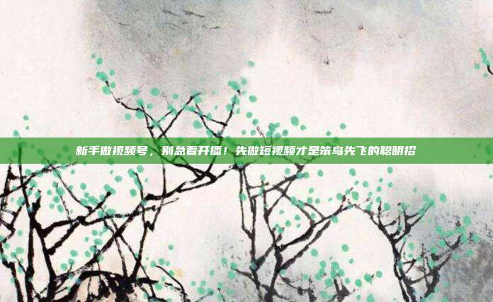 新手做视频号，别急着开播！先做短视频才是笨鸟先飞的聪明招