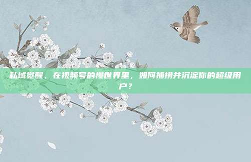 私域觉醒，在视频号的慢世界里，如何捕捞并沉淀你的超级用户？
