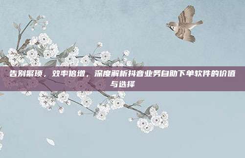 告别繁琐,效率倍增,深度解析抖音业务自助下单软件的价值与选择