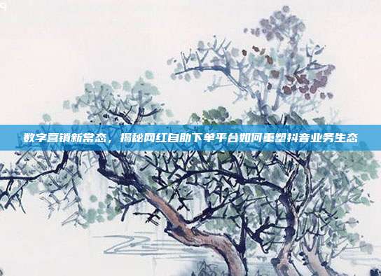 数字营销新常态,揭秘网红自助下单平台如何重塑抖音业务生态