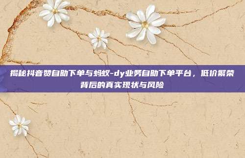 揭秘抖音赞自助下单与蚂蚁-dy业务自助下单平台,低价繁荣背后的真实现状与风险