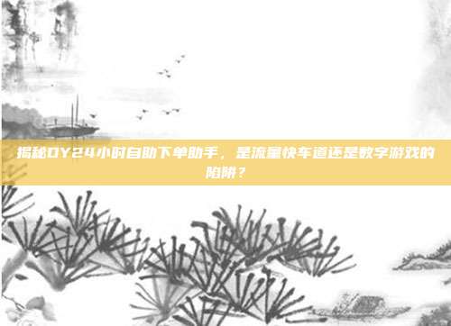 揭秘DY24小时自助下单助手,是流量快车道还是数字游戏的陷阱?