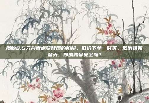 揭秘0.5元抖音点赞背后的陷阱,低价下单一时爽,取消难如登天,你的账号安全吗?