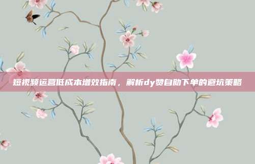 短视频运营低成本增效指南,解析dy赞自助下单的避坑策略