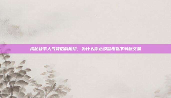 揭秘快手人气背后的陷阱,为什么你必须警惕私下转账交易