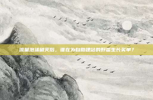 流量泡沫破灭后,谁在为自助建站的野蛮生长买单?