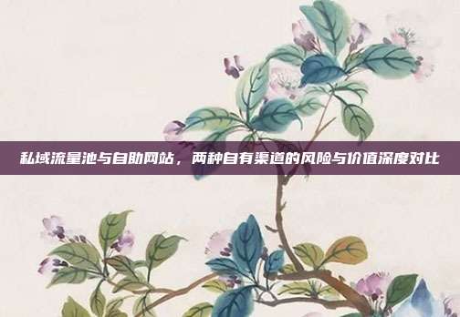 私域流量池与自助网站，两种自有渠道的风险与价值深度对比