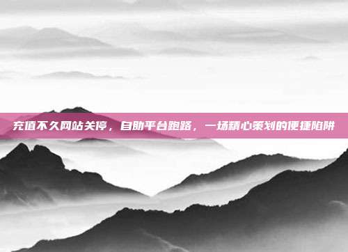 充值不久网站关停,自助平台跑路,一场精心策划的便捷陷阱