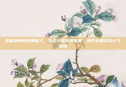 流量迷局中的清醒人,学会分辨真假流量,避开劣质互动人气渠道