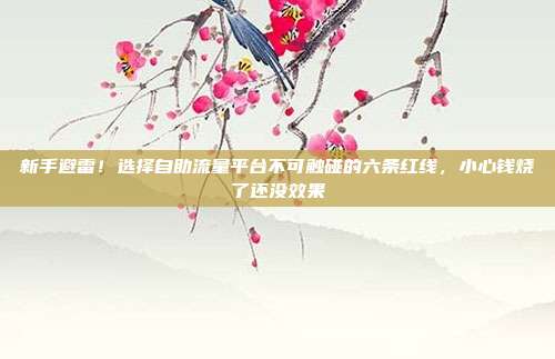 新手避雷!选择自助流量平台不可触碰的六条红线,小心钱烧了还没效果