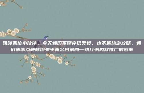 哈喽各位小伙伴,今天我们不聊穿搭美妆,也不聊旅游攻略,我们来聊点硬核但关乎真金白银的—小红书内容推广的效率