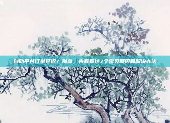 自助平台订单延迟?别急,先看看这7个常见原因和解决办法