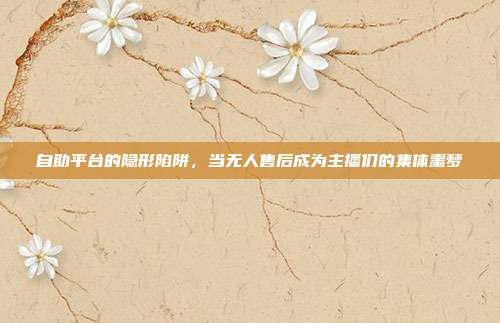 自助平台的隐形陷阱,当无人售后成为主播们的集体噩梦