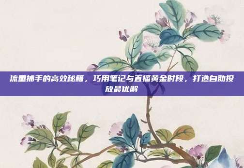 流量捕手的高效秘籍,巧用笔记与直播黄金时段,打造自助投放最优解