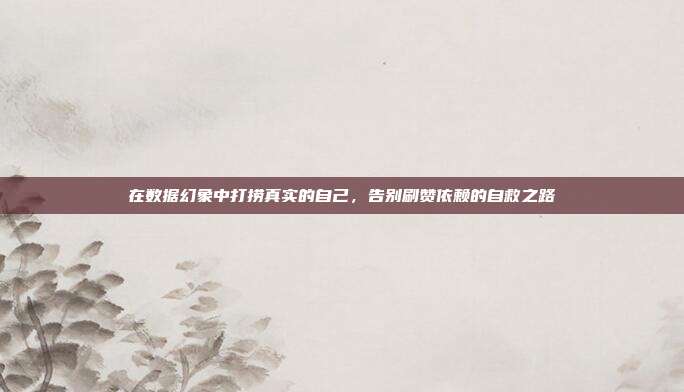 在数据幻象中打捞真实的自己，告别刷赞依赖的自救之路