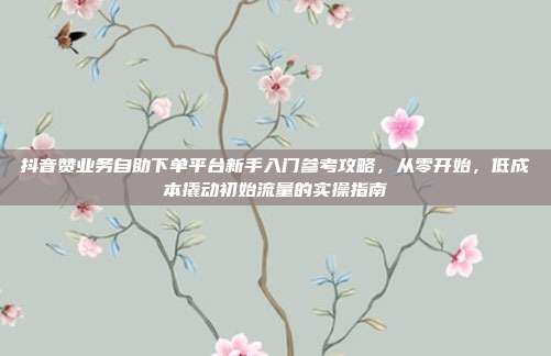 抖音赞业务自助下单平台新手入门参考攻略,从零开始,低成本撬动初始流量的实操指南