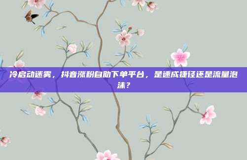 冷启动迷雾,抖音涨粉自助下单平台,是速成捷径还是流量泡沫?