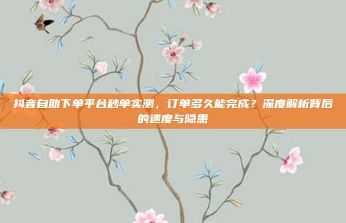 抖音自助下单平台秒单实测,订单多久能完成?深度解析背后的速度与隐患