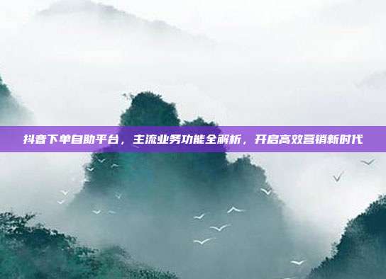 抖音下单自助平台,主流业务功能全解析,开启高效营销新时代