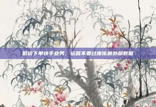低价下单快手业务,运营不要过度依赖外部数据