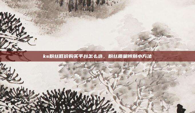 ks粉丝低价购买平台怎么选,粉丝质量辨别小方法