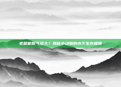 老鼠能憋气多久？揭秘小动物的水下生存极限