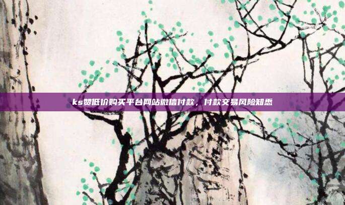 ks赞低价购买平台网站微信付款，付款交易风险知悉