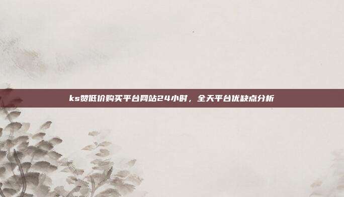 ks赞低价购买平台网站24小时，全天平台优缺点分析