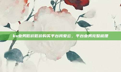 ks业务低价低价购买平台我爱云,平台业务完整梳理