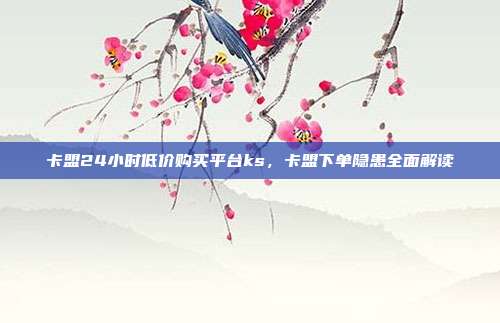 卡盟24小时低价购买平台ks,卡盟下单隐患全面解读