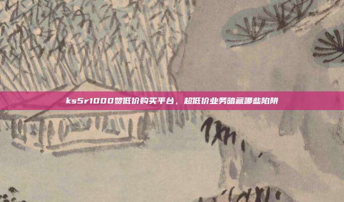 ks5r1000赞低价购买平台,超低价业务暗藏哪些陷阱