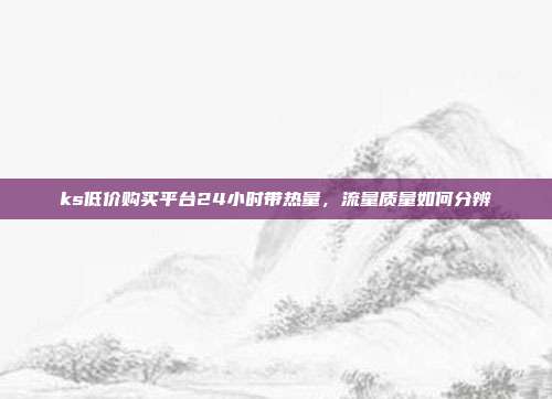 ks低价购买平台24小时带热量,流量质量如何分辨