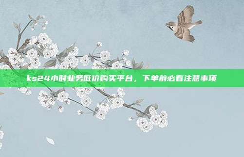 ks24小时业务低价购买平台,下单前必看注意事项