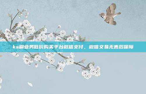 ks刷业务低价购买平台微信支付,微信交易无售后保障