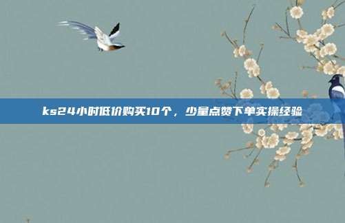 ks24小时低价购买10个,少量点赞下单实操经验