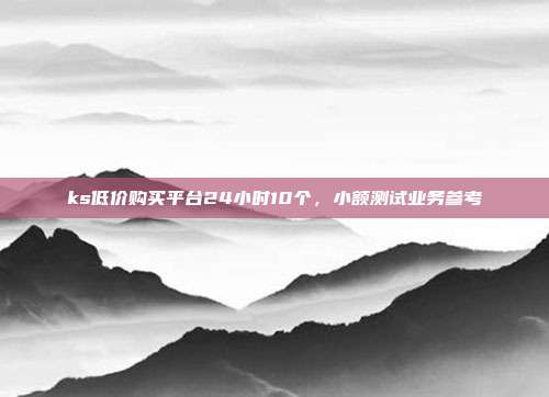 ks低价购买平台24小时10个,小额测试业务参考