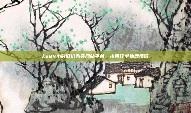 ks24小时低价购买网站平台,夜间订单处理情况
