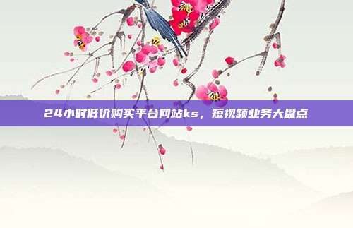 24小时低价购买平台网站ks,短视频业务大盘点