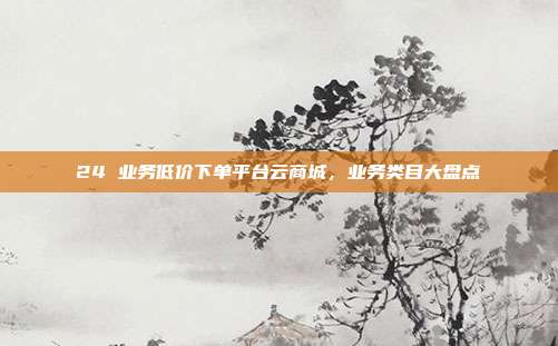 24 业务低价下单平台云商城,业务类目大盘点