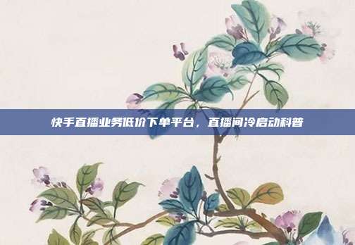 快手直播业务低价下单平台,直播间冷启动科普