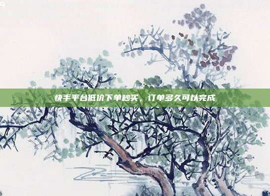 快手平台低价下单秒买,订单多久可以完成