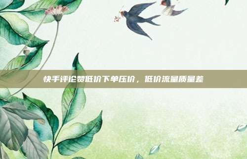 快手评论赞低价下单压价,低价流量质量差