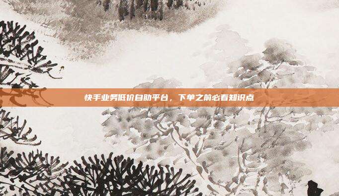 快手业务低价自助平台,下单之前必看知识点
